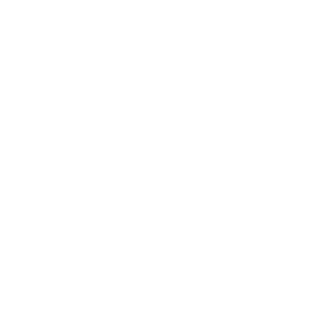 Vicolo_logo 2 blanco